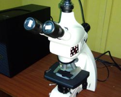 Metallurgical Microscope